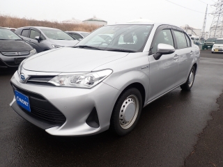 Axio-2020-EX-Push-HYBRID -SILVER